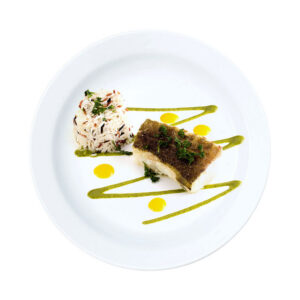 Necessitatibus Salmon Croquettes Cushion